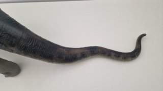Figura Brontosaurus Dino Riders Tyco Toys