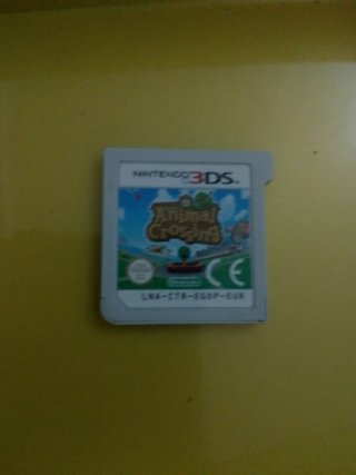 Animal Crossing 3DS