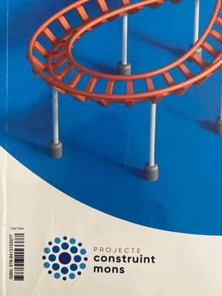 Matemàtiques, 4 ESO, Projecte Construint mons