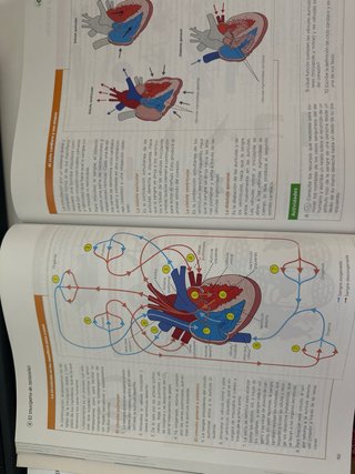 Biología, Geología y Ciencias Ambientales 1 Bac...