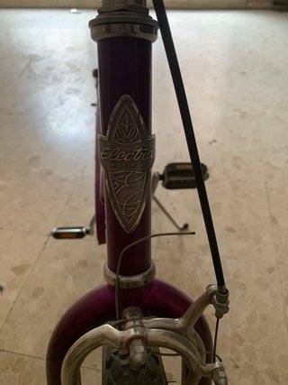 Bicicleta Electra Morada