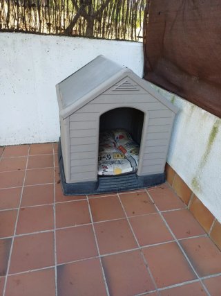 Casita para perro beige y gris