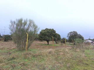 Terreno en venta en Palomarejos en Toledo