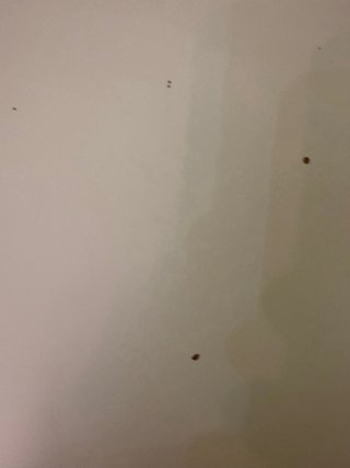 Escritorio blanco con 2 cajones
