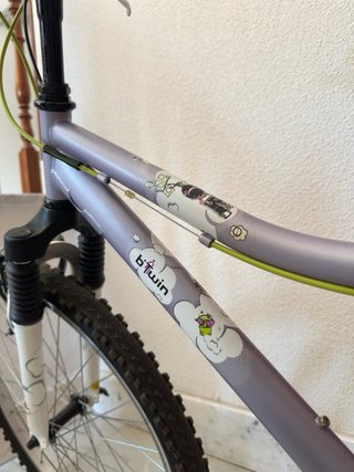 Bicicleta adolescente