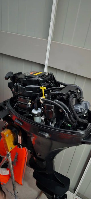 Suzuki 15hp 4 tiempos Motor Fuera Borda y barca