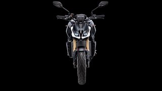 QJMOTOR SRK 800