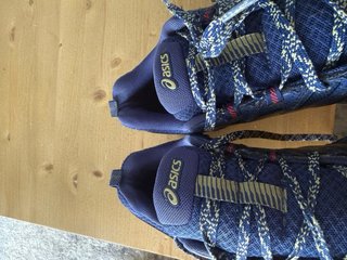 Zapatillas ASICS Gel Trabuco Terra Trail Running