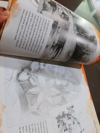 libro guía dibujar