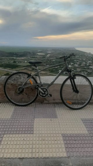 Bicicleta de paseo gris