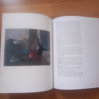 Libro Catálogo colecciones arte asturiano siglo XX