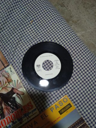 Lote de 31 Vinilos Flamenco y Sevillanas negociabl