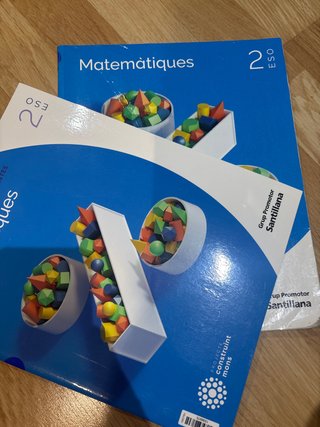 Matemàtiques, 2 ESO, Projecte Construint mons