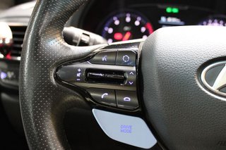 Hyundai i30 2.0 TGDI 202kW (275CV) N Performance Sky