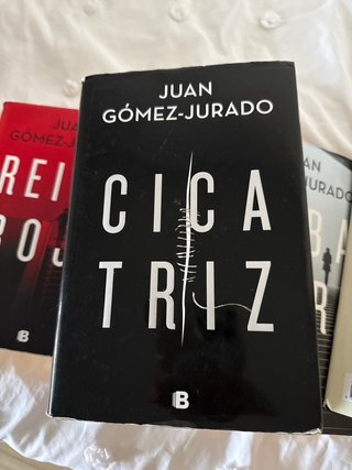 Libros de Juan Gomez-Jurado