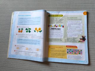 Lengua Castellana y Literatura, 4 Primaria, Moc...