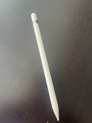 Apple Pencil 1ª Gen
