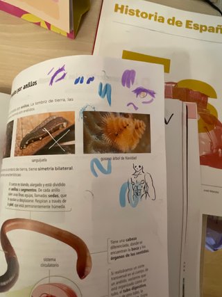 Biología y Geología. 1 Secundaria. Revuela. Cas...