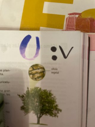 Biología y Geología. 1 Secundaria. Revuela. Cas...