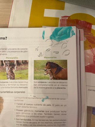 Biología y Geología. 1 Secundaria. Revuela. Cas...