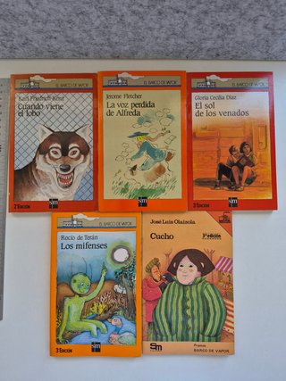 Lote 10 libros juveniles Barco de Vapor