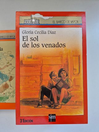 Lote 10 libros juveniles Barco de Vapor