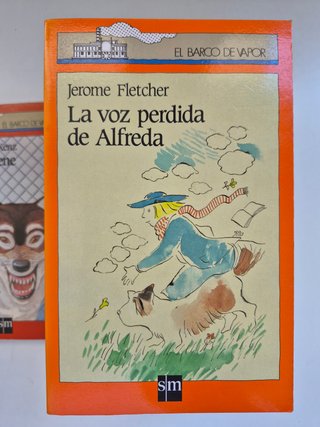 Lote 10 libros juveniles Barco de Vapor