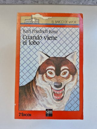 Lote 10 libros juveniles Barco de Vapor