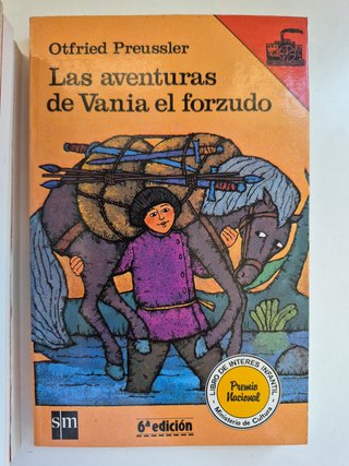 Lote 10 libros juveniles Barco de Vapor