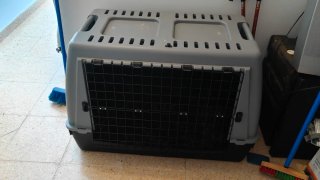 Transportín Perro Grande Gris y Negro