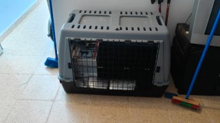 Transportín Perro Grande Gris y Negro
