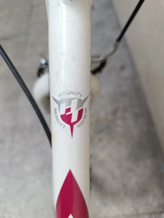 Bicicleta Blanca con Detalles Rosas
