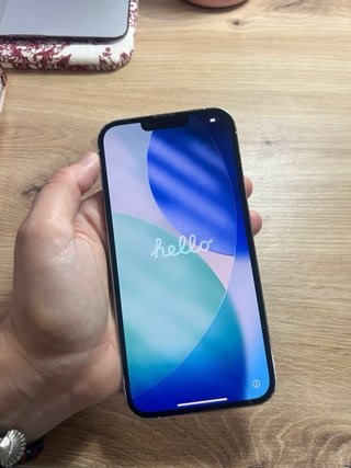 iPhone 13 Pro Max 256 GB