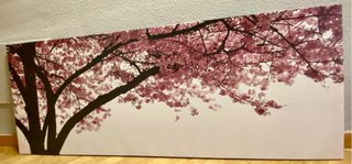 Cuadro paisaje árbol floración rosa