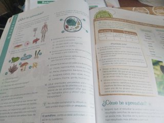 Conocimiento del Medio, Ciencias de la Naturale...