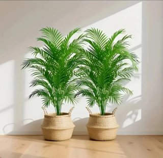 Conjunto de Plantas Artificiales