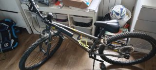 Bicicleta Orbea 24 Gris