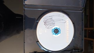 Capitán América: El Soldado de Invierno DVD