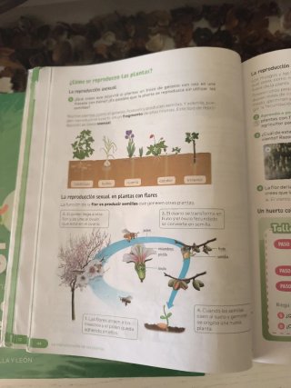 Ciencias de la naturaleza. 5 Primaria. Revuela....