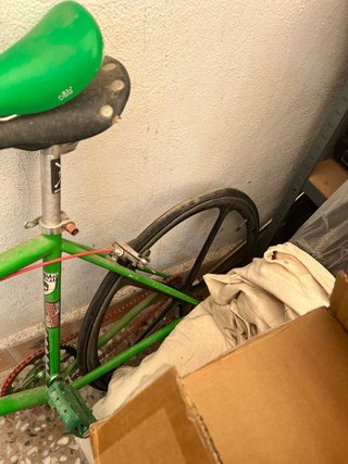 Bicicleta Fixie Verde
