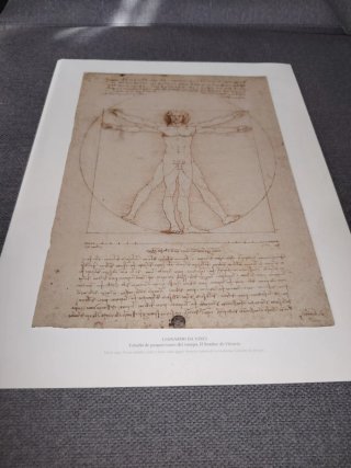 Libro y lámina. Leonardo DaVinci. Soporte.