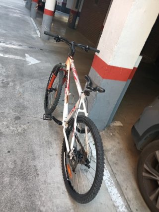 Bicicleta de Montaña