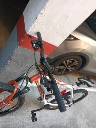 Bicicleta de Montaña