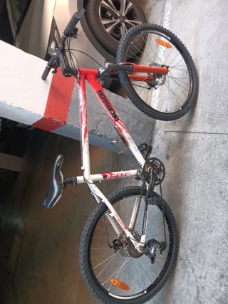 Bicicleta de Montaña