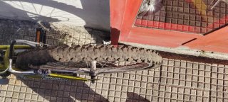 Bicicleta Montaña Amarilla Usada