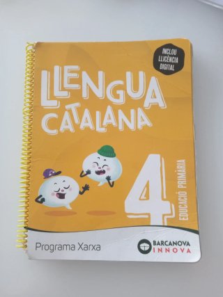 Llengua catalana, 4 Educació Primària
