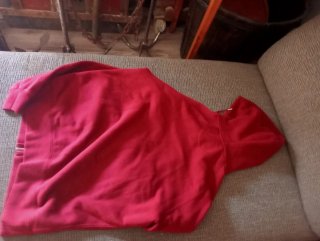 Sudadera FCB Roja Talla L
