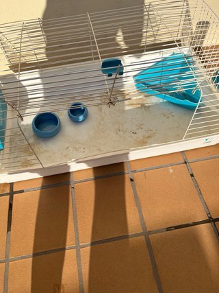 Jaula para conejo, cobaya, tortuga