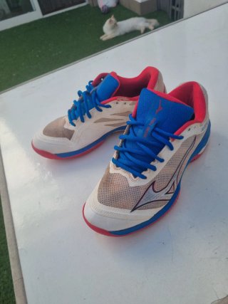 Lote Zapatillas Niños Talla 39