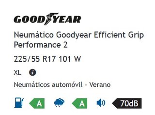 Neumáticos Goodyear EfficientGrip Performance 2